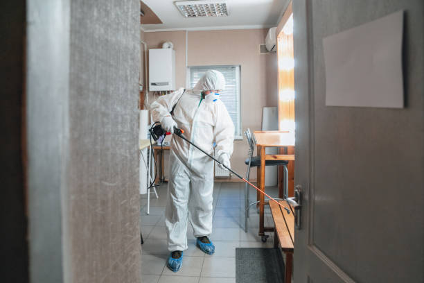 Best Mold Removal for HVAC Installations  in Madrid, IA